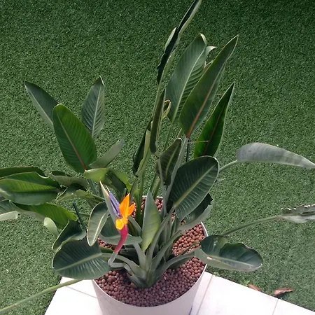 Bel En Bord De Avec Piscine Lagon Et Jardin, En Résidence Sécuriséee