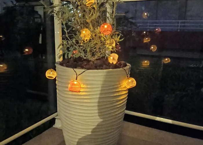 Bel En Bord De Avec Piscine Lagon Et Jardin, En Securisee Daire