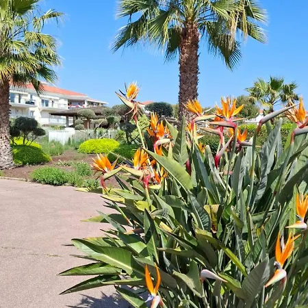 Bel En Bord De Avec Piscine Lagon Et Jardin, En Securisee דירה *